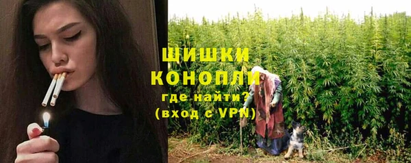 шишки Алексеевка