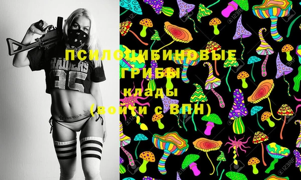 твердый Алзамай