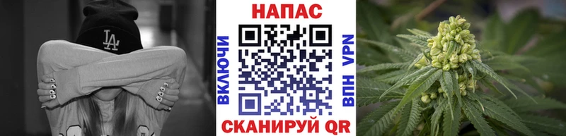 Бошки марихуана Amnesia  Кирсанов 